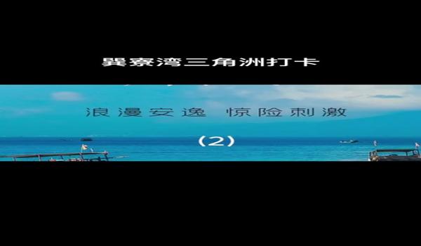 三角洲手机第三方科技软件是什么（哪个是三角洲真正的第三方科技软件？）