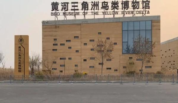 三角洲行动 官方(《三角洲行动》官方游戏多少钱) 三角洲行动 官方(《三角洲行动》官方游戏多少钱)