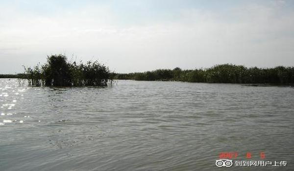 三角洲零度协议配件(三角洲零度协议配件价格是多少?) 三角洲零度协议配件(三角洲零度协议配件价格是多少?)