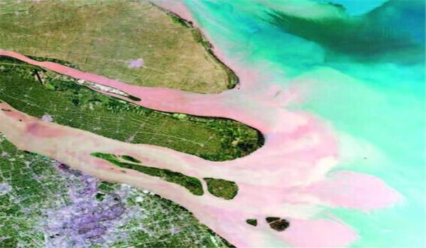 三角洲行动科技器免费最新版手游（给我三角洲行动科技器的直接下载链接）