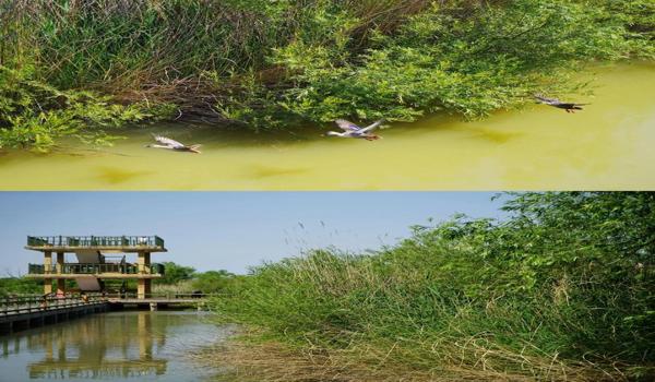 三角洲手游科技神器推荐（有没有三角洲手游最佳科技推荐？）